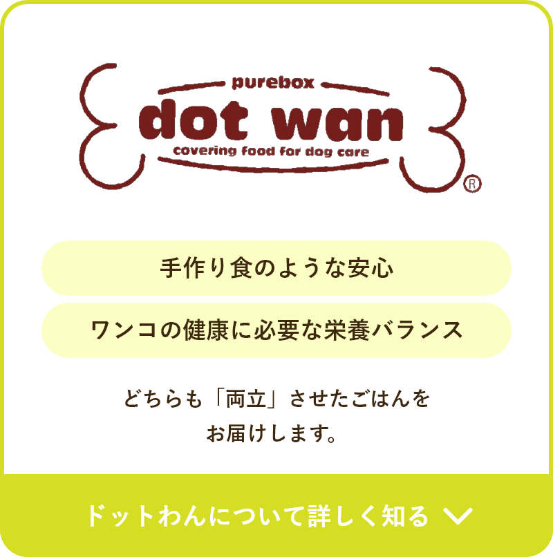 手作り色のような安心 ワンコの健康に必要な栄養バランス どちらも「両立」させたごはんを お届けします。ドットわんについて詳しく知る