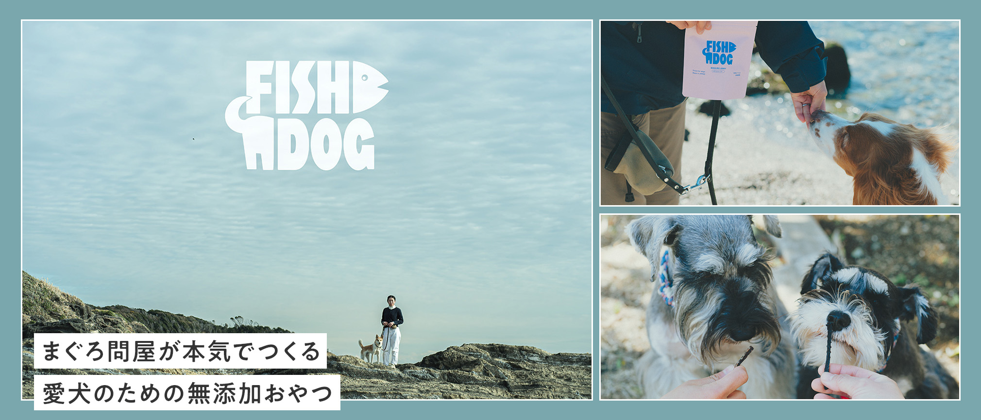 fishdog