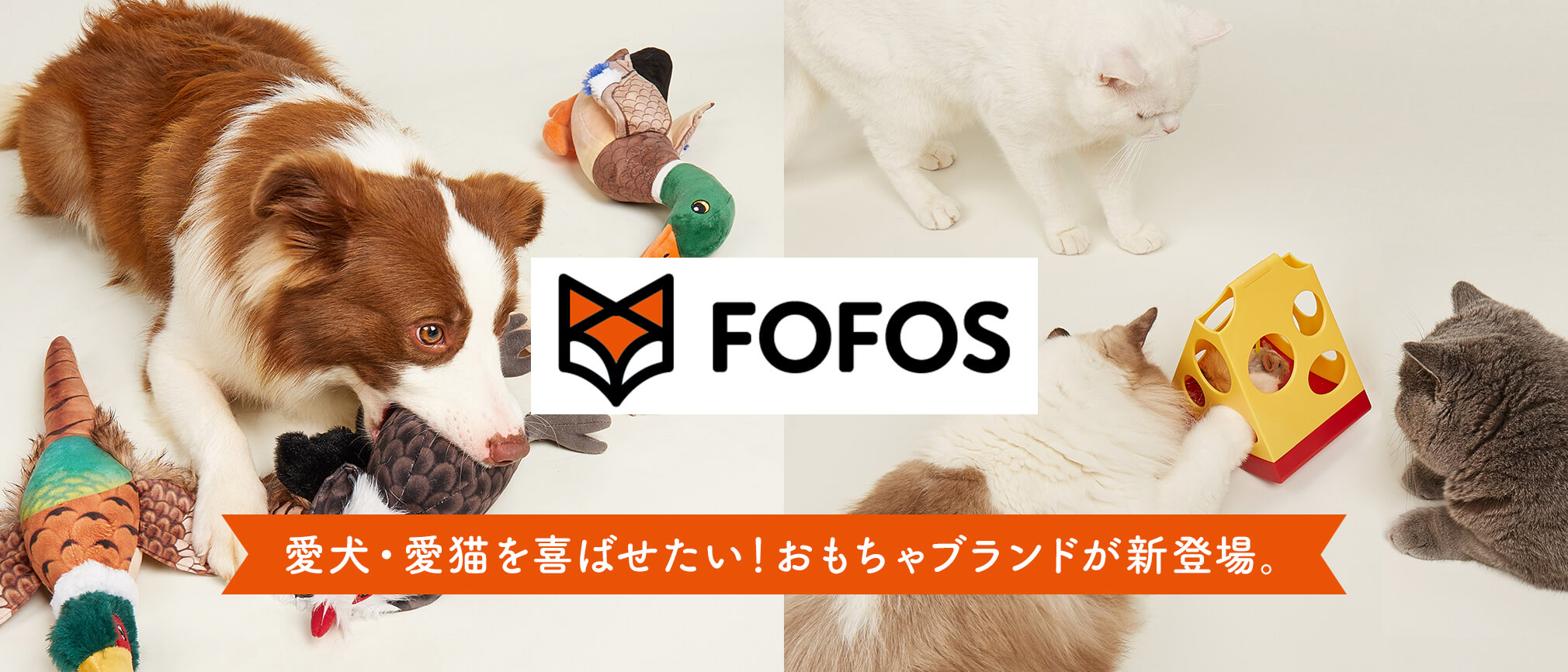 欧米で人気のブランド「FOFOS（フォフォス）」が日本初上陸！
