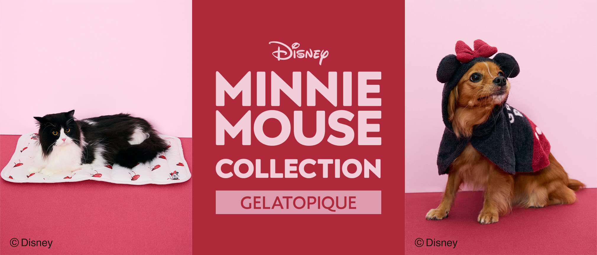GELATO PIQUE&ミニーマウスのコラボコレクション