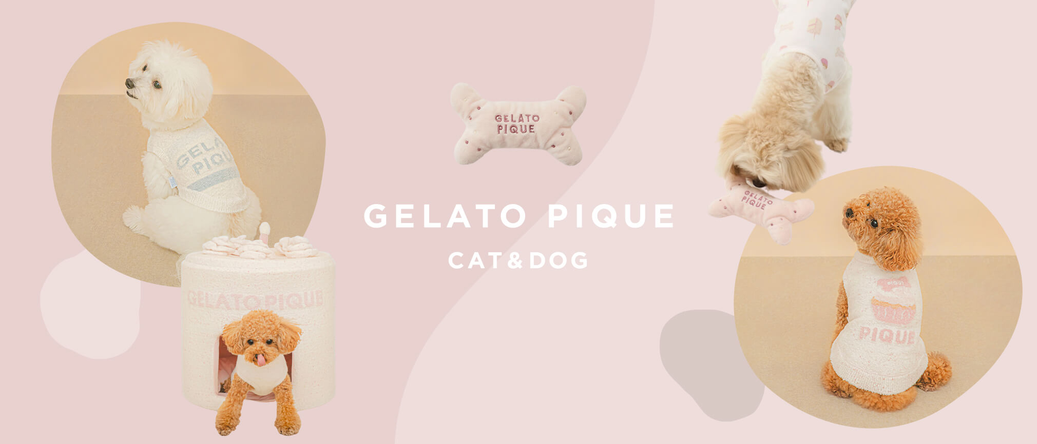 「gelato pique」BIRTHDAY COLLECTION