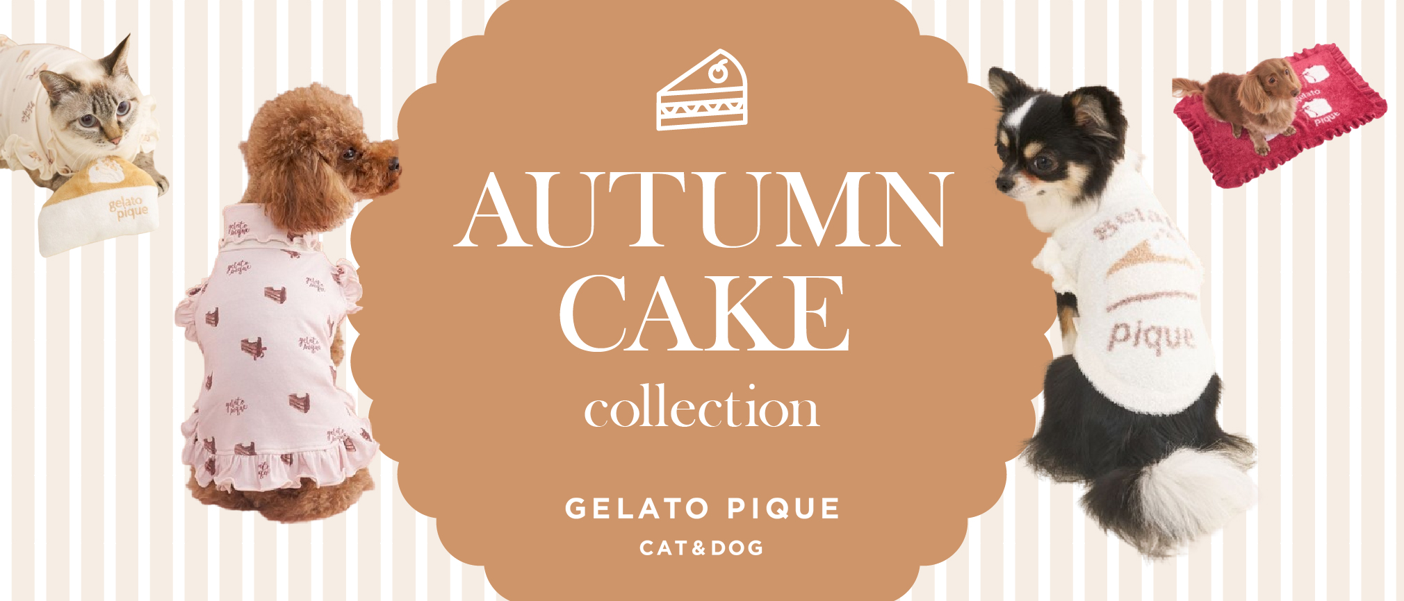 GELATO PIQUEオータムケーキ特集
