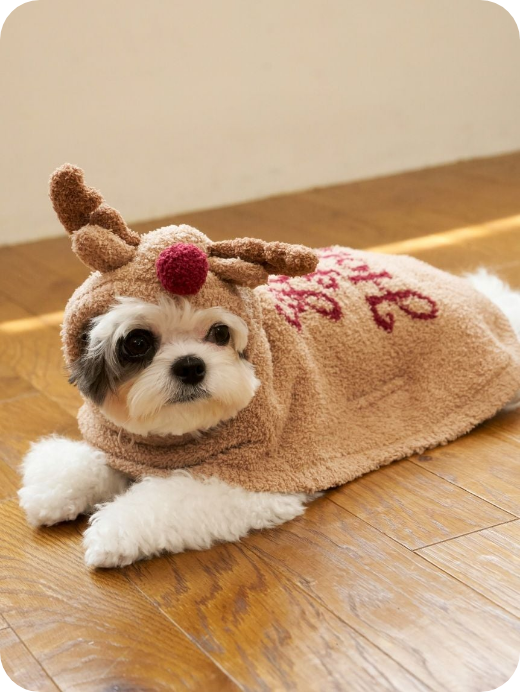 【HOLIDAY】トナカイケープ