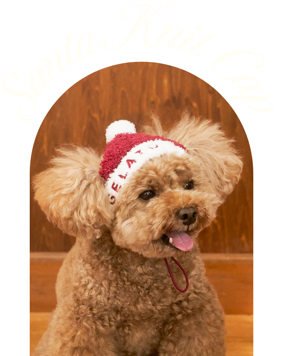 【HOLIDAY】トナカイケープ