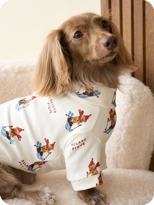 【HOLIDAY】スキーベア柄カットソー