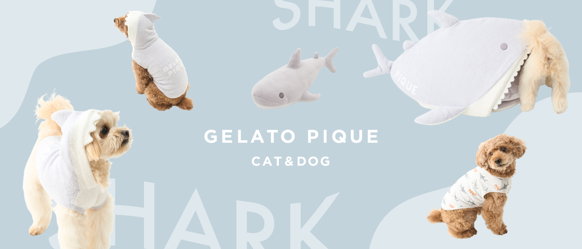 「gelato pique」SHARK COLLECTION