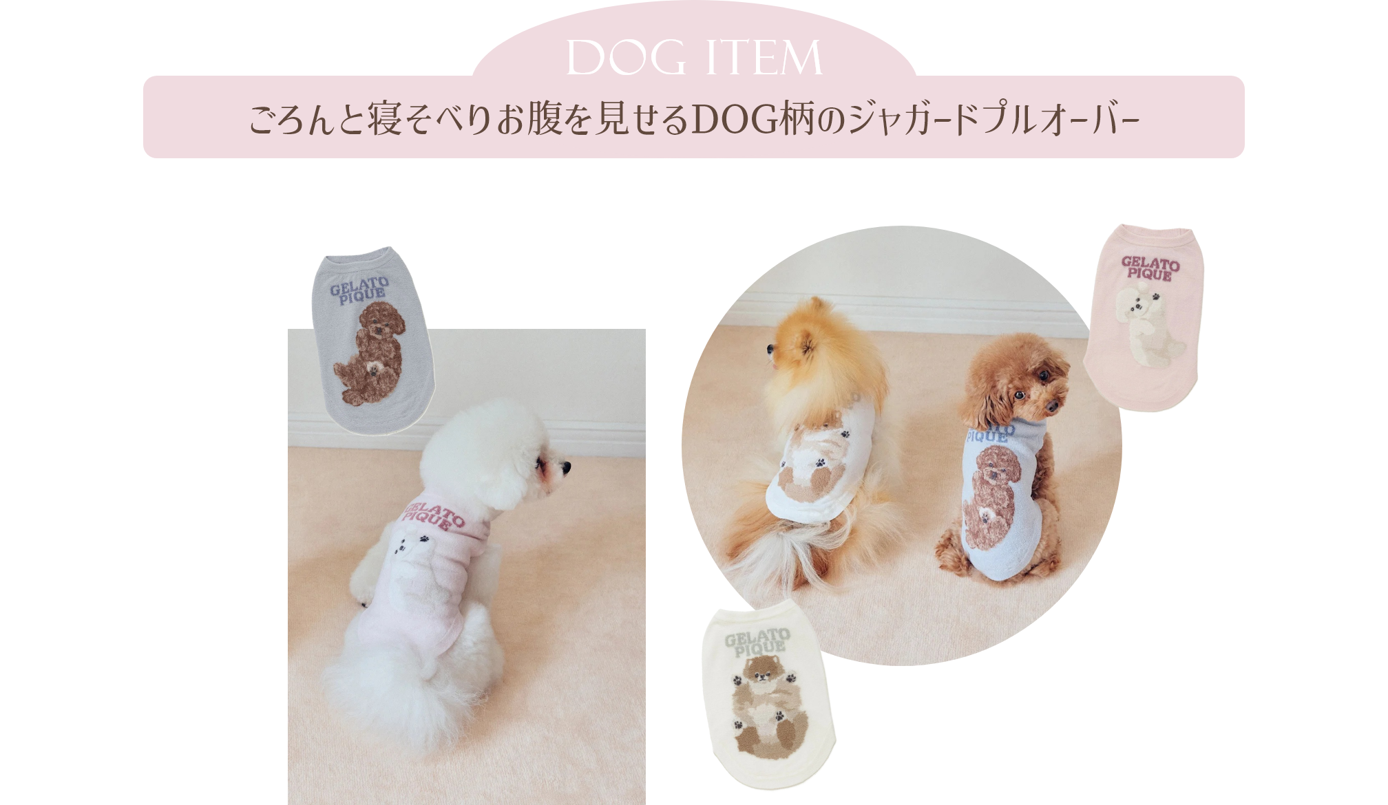 ごろんと寝そべりお腹を見せるDOG柄のジャガードプルオーバー