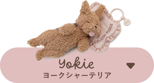 Yorkie (ヨークシャーテリア)