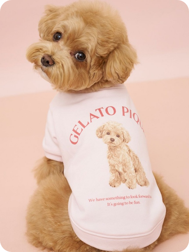 gelato pique（ジェラートピケ）【CAT&DOG】 お散歩DOGの裏毛プルオーバー トイプードル