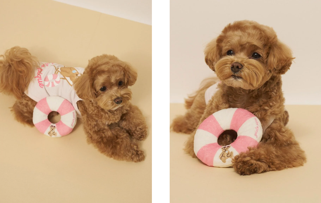 gelato pique（ジェラートピケ）【CAT&DOG】【接触冷感】 サマーベアトイ