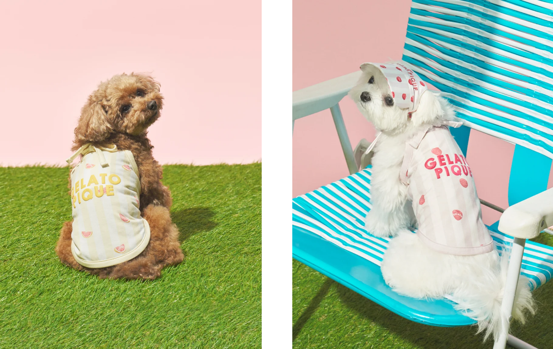 ストライプ柄Coolingプルオーバー