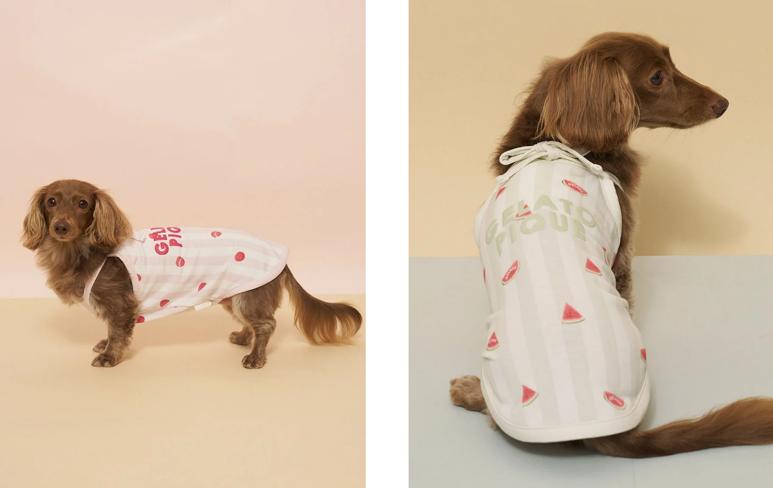 ダックスフンド用Coolingプルオーバー