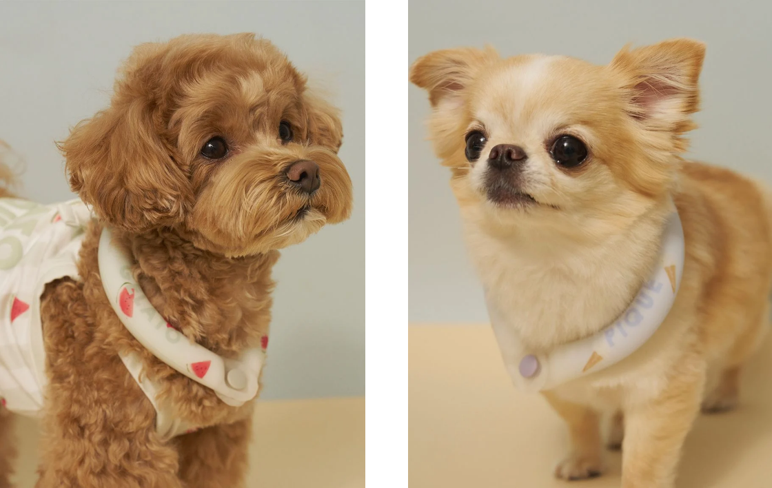 サマーモチーフ柄Coolingネックリング