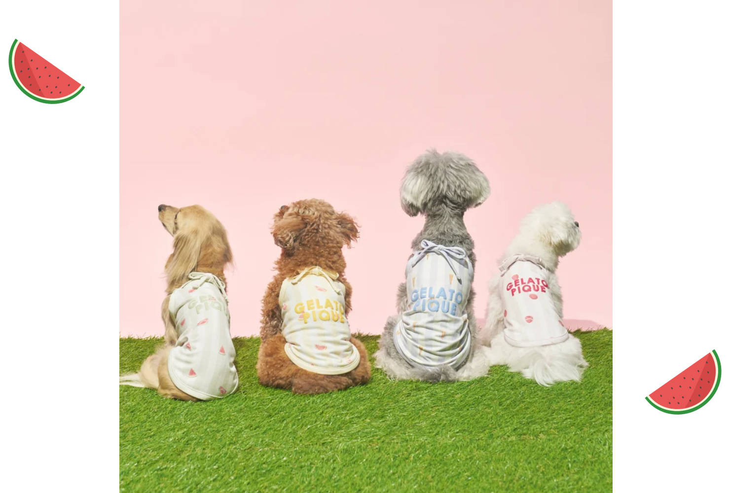 サマーモチーフクーリングシリーズ