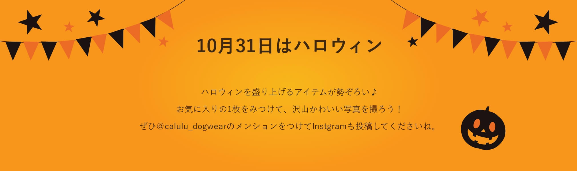 ハロウィンを盛り上げるアイテムが勢ぞろい♪ お気に入りの1枚をみつけて、沢山かわいい写真を撮ろう！ ぜひ＠calulu_dogwearのメンションをつけてInstgramも投稿してくださいね。