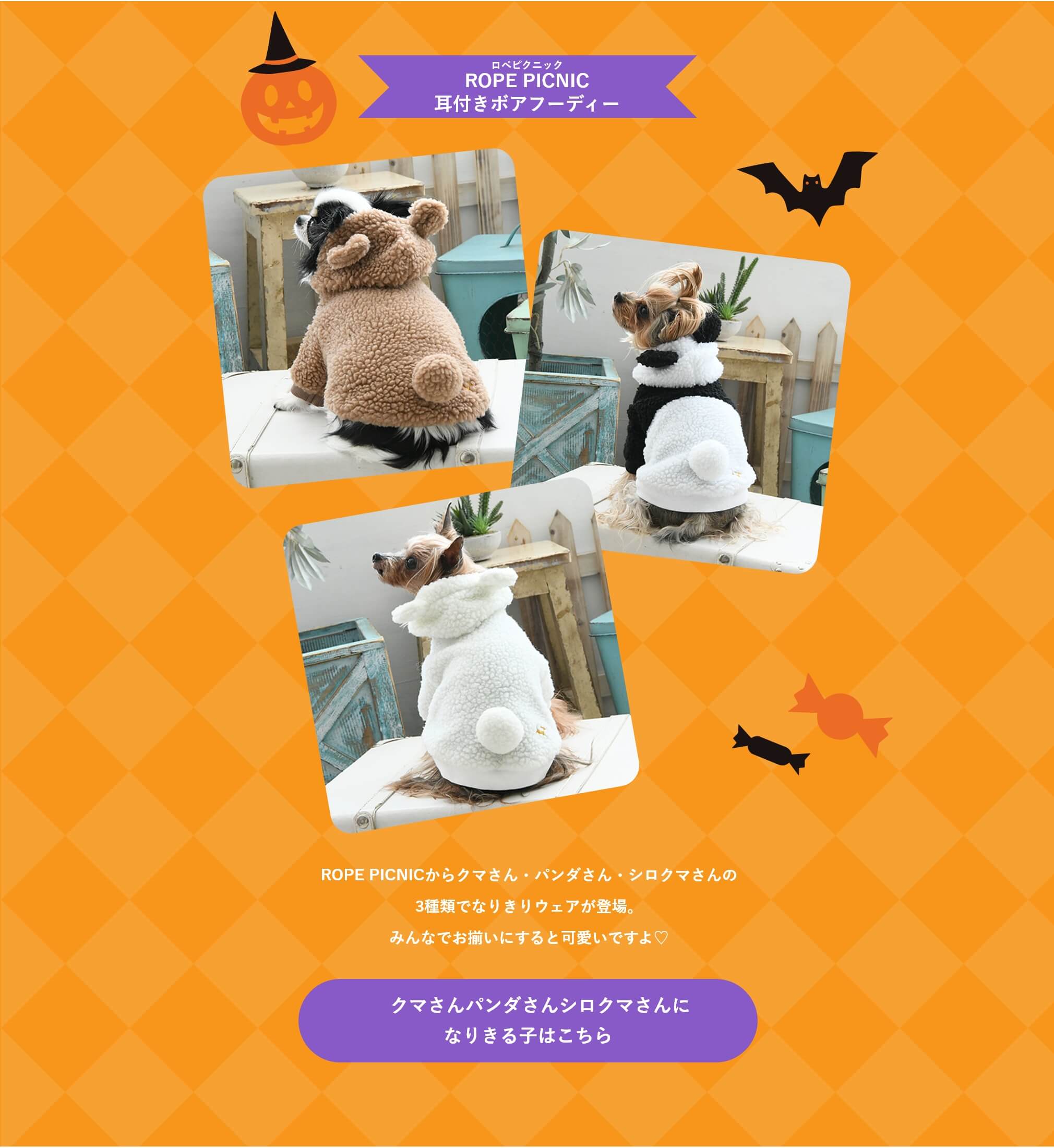 クマさんパンダさんシロクマさんに なりきる子はこちら