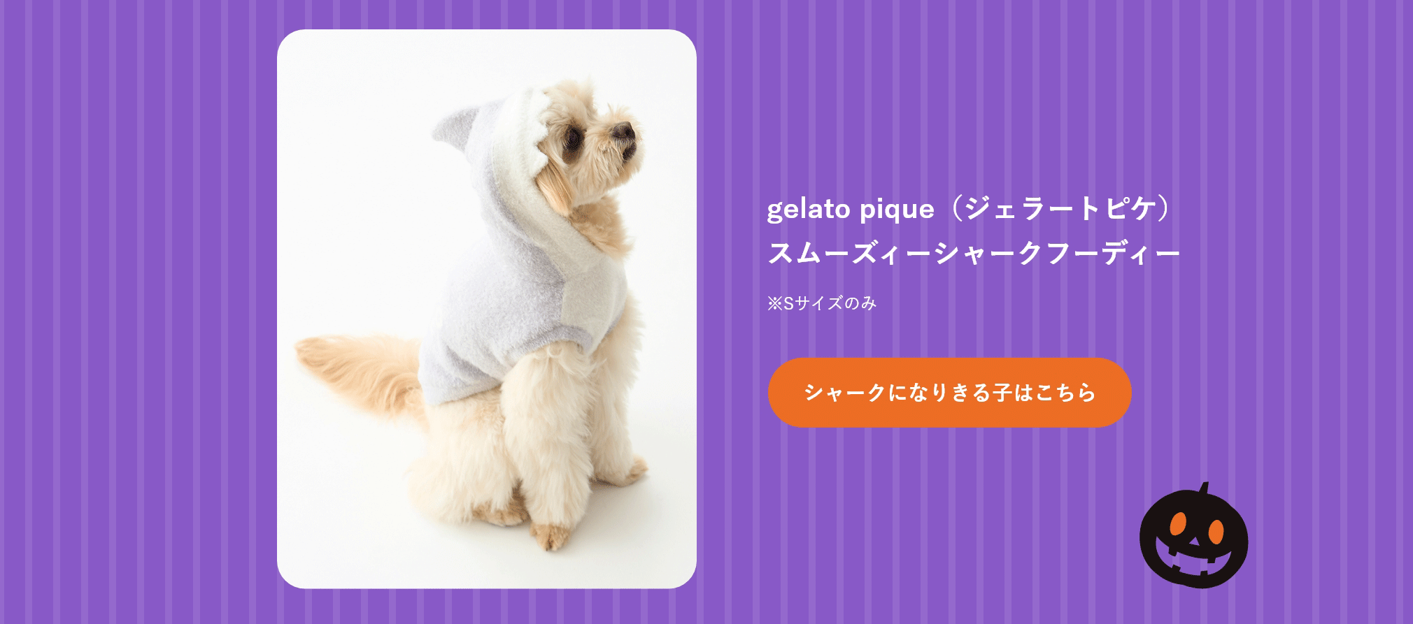 シャークになりきる子はこちら