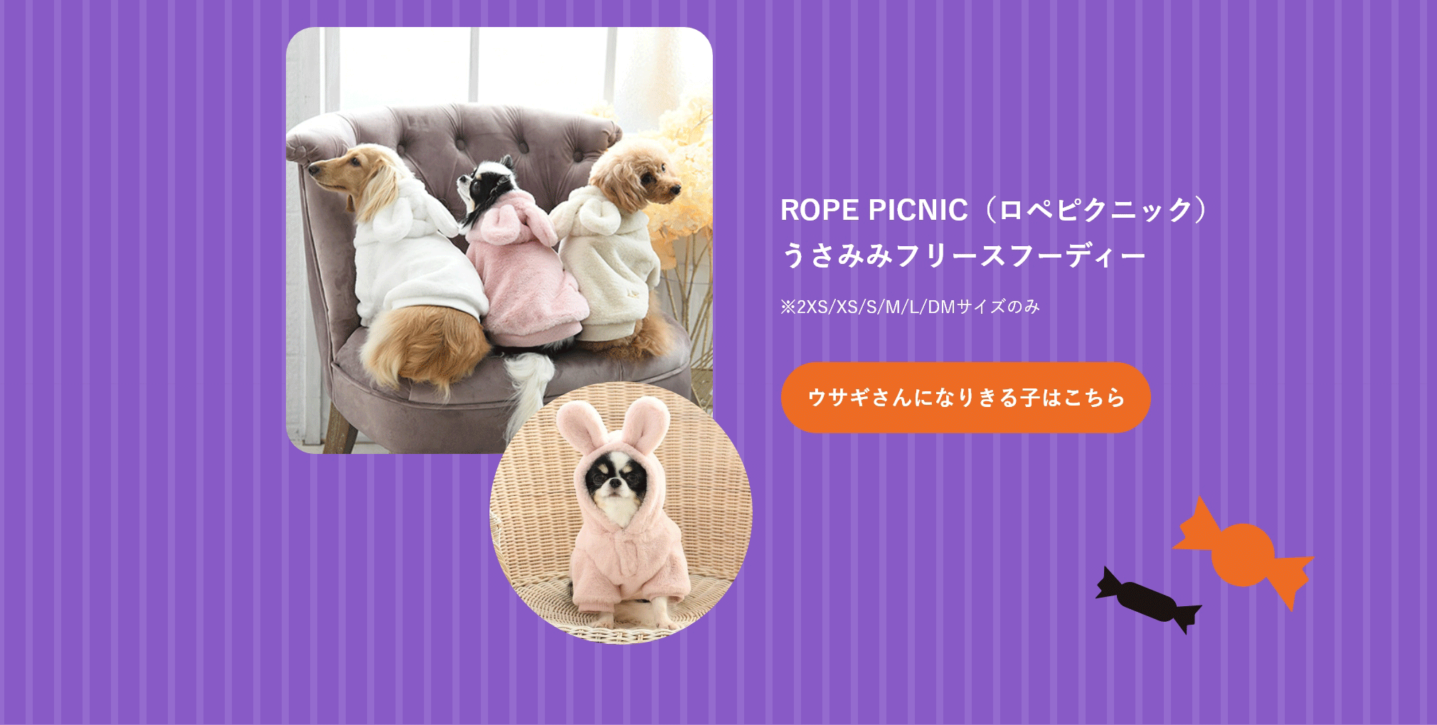 ウサギさんになりきる子はこちら