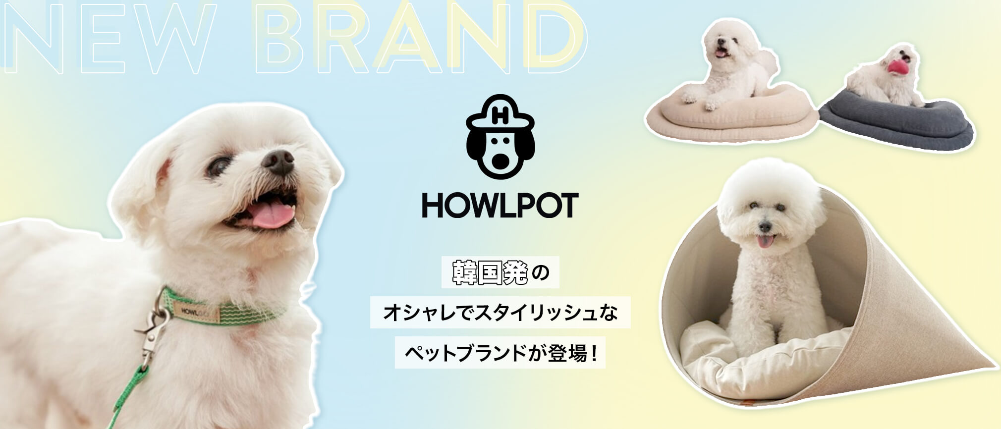 HOWLPOT（ハウルポット）韓国発のオシャレでスタイリッシュなペットブランドが登場！