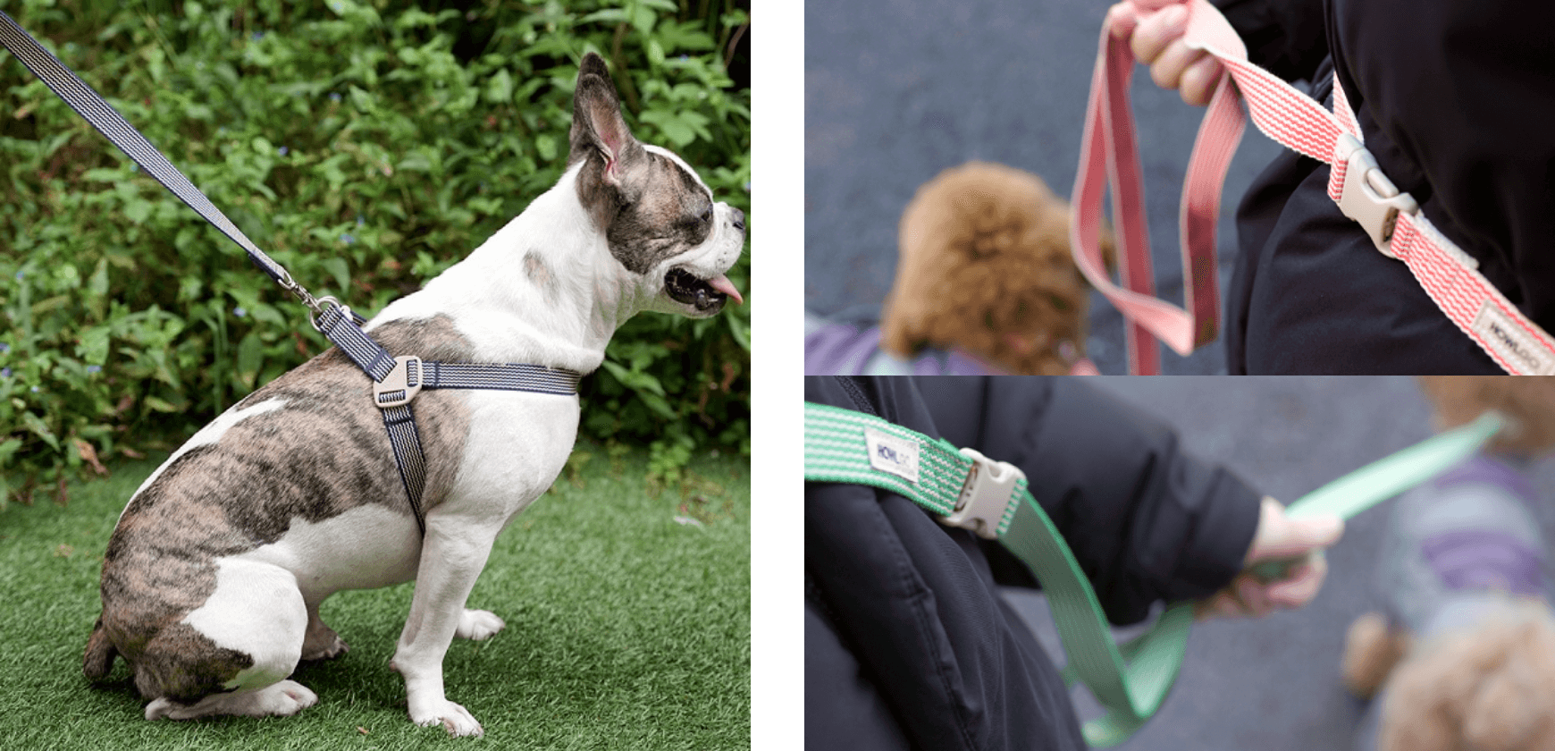 HOWLGO BASIC ADJUSTABLE LEASH｜全3色