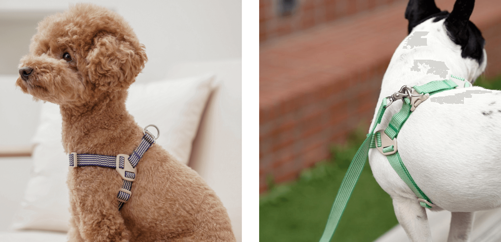 HOWLGO BASIC HARNESS|全3色