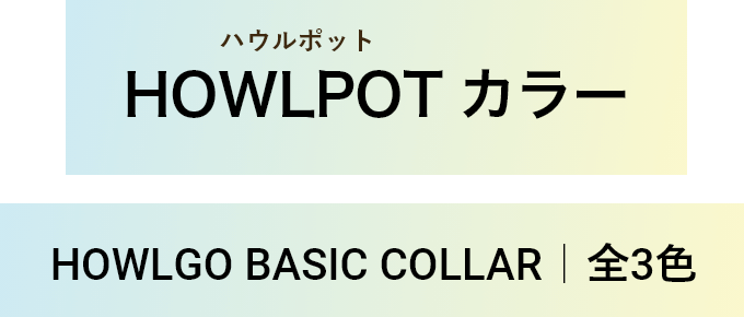  HOWLPOT カラー