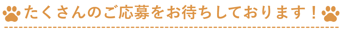 たくさんのご応募をお待ちしております！