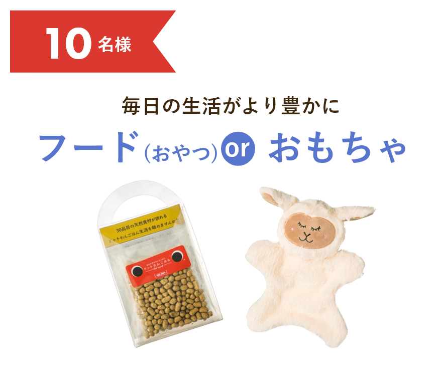 フード(おやつ)orおもちゃ