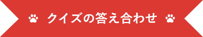 クイズの答え合わせ