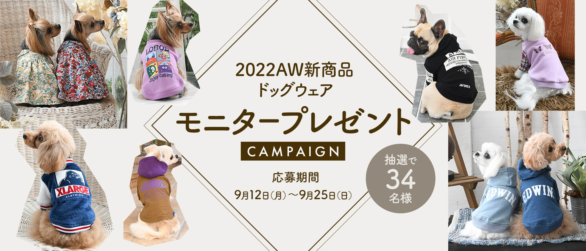 「2022AW新商品ドッグウェア」モニタープレゼントキャンぺーン！