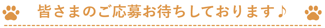 たくさんのご応募をお待ちしております！