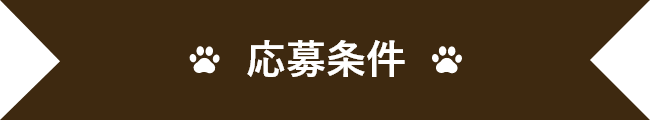 応募条件