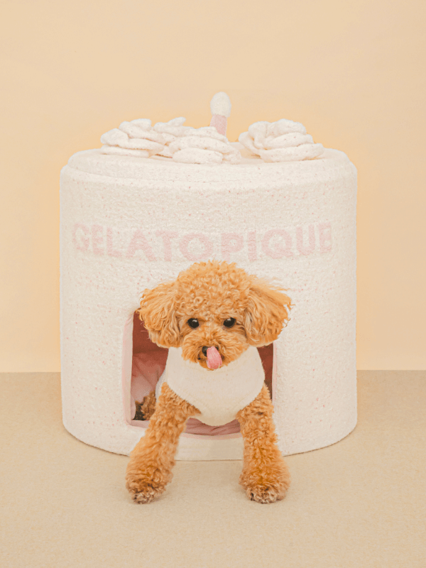 gelato pique（ジェラートピケ）【CAT&DOG】 【販路限定商品】スムーズィーケーキハウス