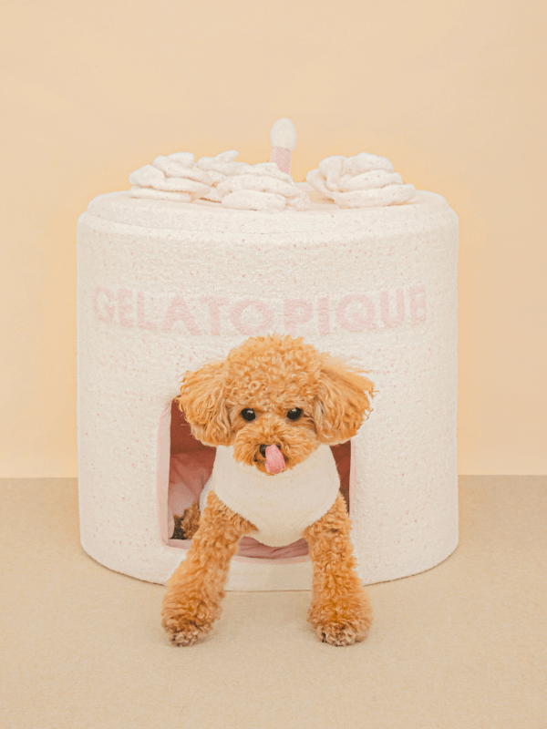 gelato pique(ジェラートピケ)【CAT&DOG】 【販路限定商品】スムーズィーケーキハウス