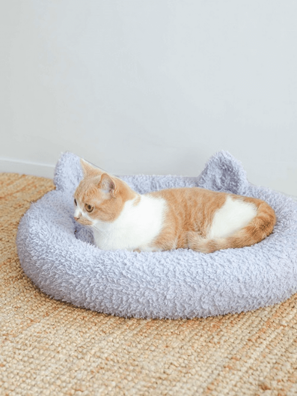 pique(ジェラートピケ)【CAT&DOG】【販路限定商品】ジェラートフェザーキャットベッド|全2色柄