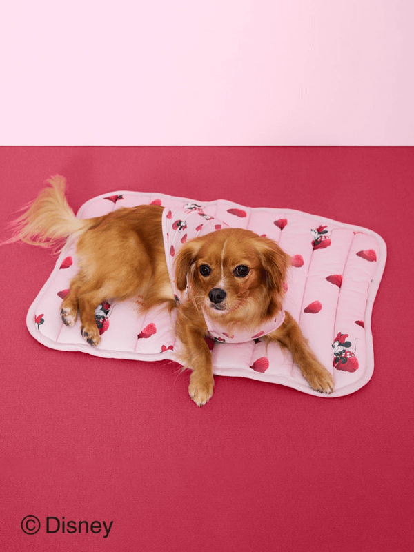 gelato pique(ジェラートピケ)【CAT&DOG】【販路限定商品】すいか柄COOLマット