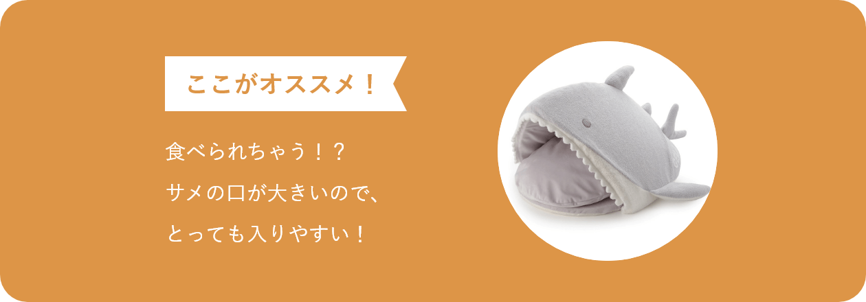 ここがオススメ 食べられちゃう!? サメの口が大きいので、 とっても入りやすい!