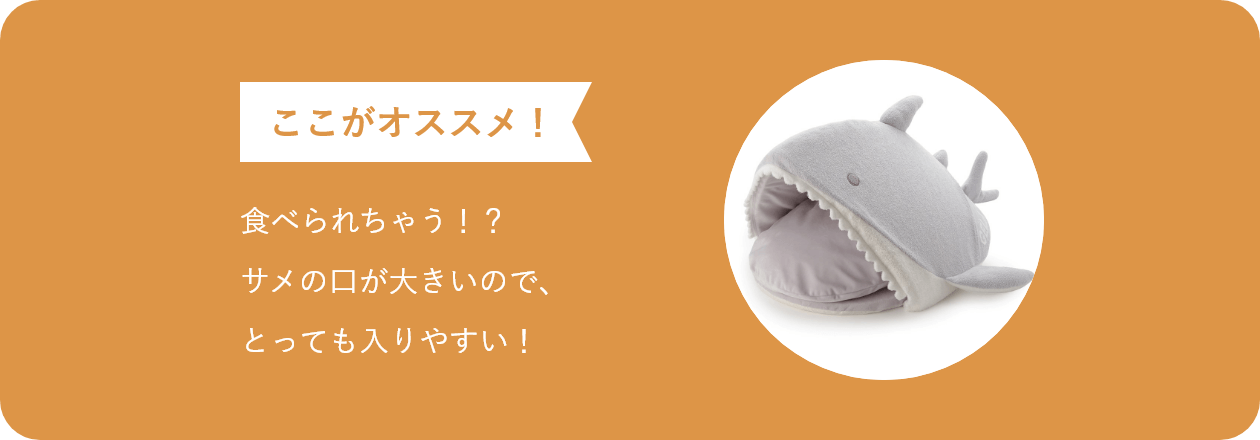 ここがオススメ 食べられちゃう！？ サメの口が大きいので、 とっても入りやすい！