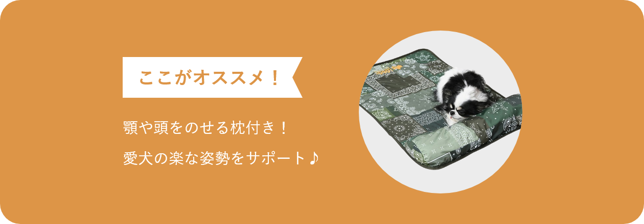 ここがオススメ 顎や頭をのせる枕付き！愛犬の楽な姿勢をサポート♪