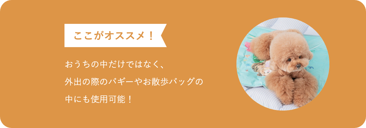 ここがオススメ おうちの中だけではなく、外出の際のバギーやお散歩バッグの中にも使用可能!