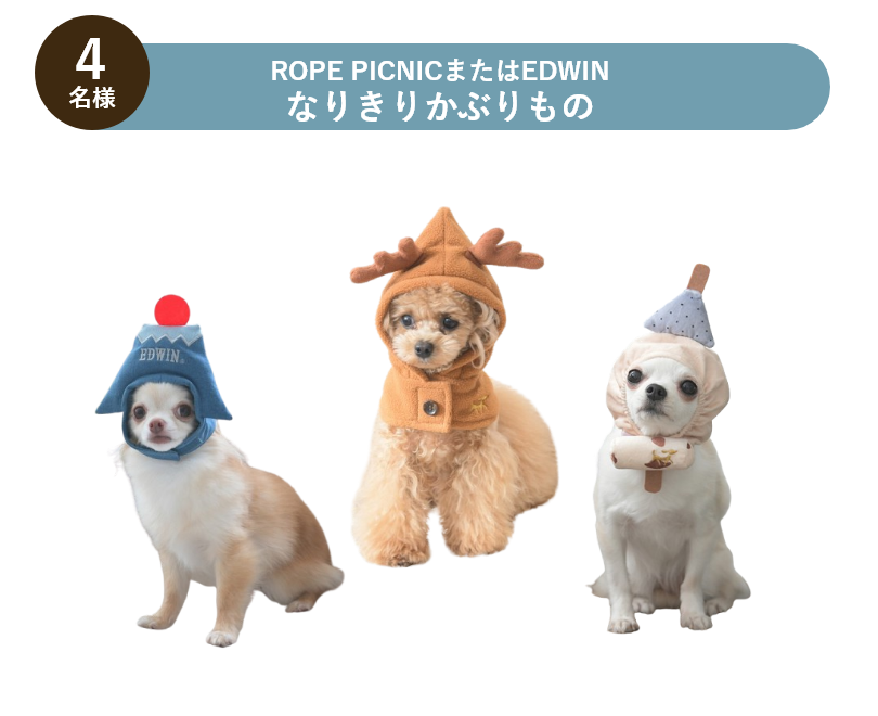 ROPE PICNICまたはEDWIN なりきりかぶりもの