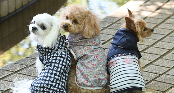 lauraashley