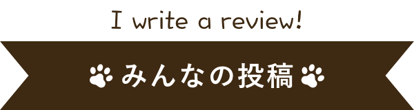 みんなの投稿