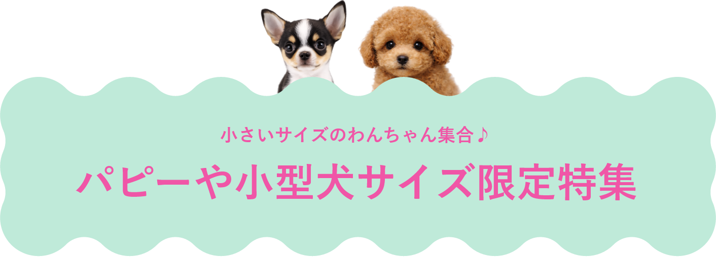 パピーや小型犬サイズ限定特集