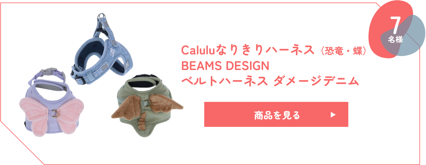 Caluluなりきりハーネス（恐竜・蝶） BEAMS DESIGN ベルトハーネス ダメージデニム