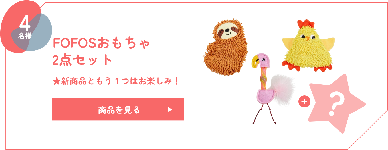 FOFOSおもちゃ 2点セット