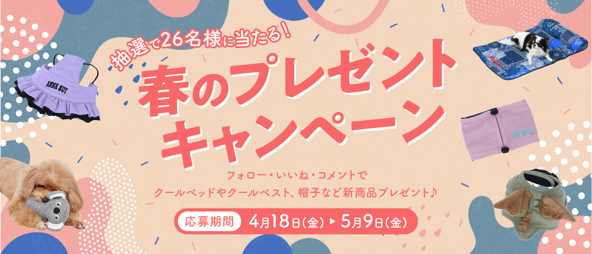 春のプレゼントキャンペーン