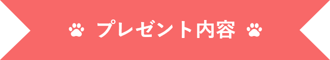 プレゼント内容