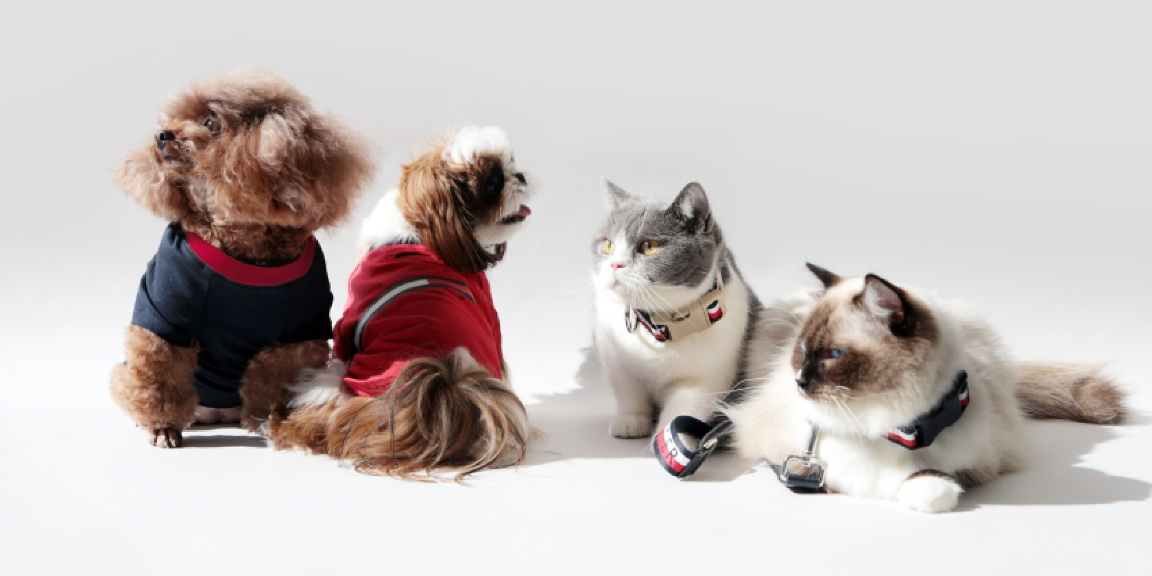 TOMMY_HILFIGER