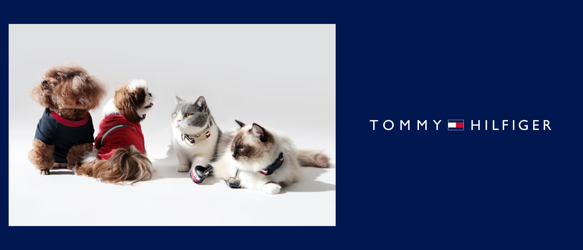 TOMMY_HILFIGER